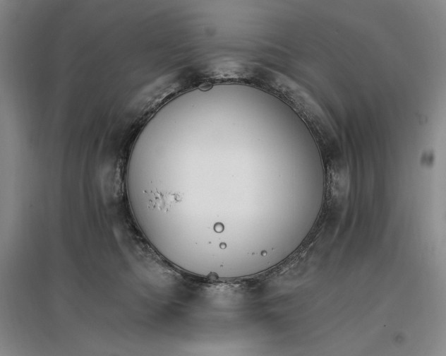 X0000096970422200802291126