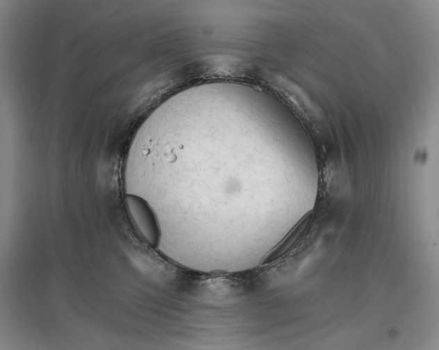 X0000096970423200802291126