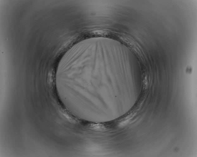 X0000096970424200802291126