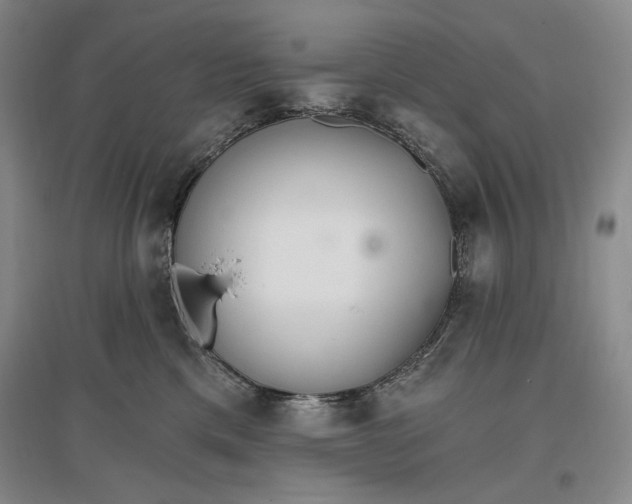 X0000096970425200802291126