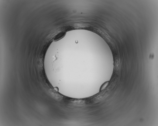 X0000096970426200802291126