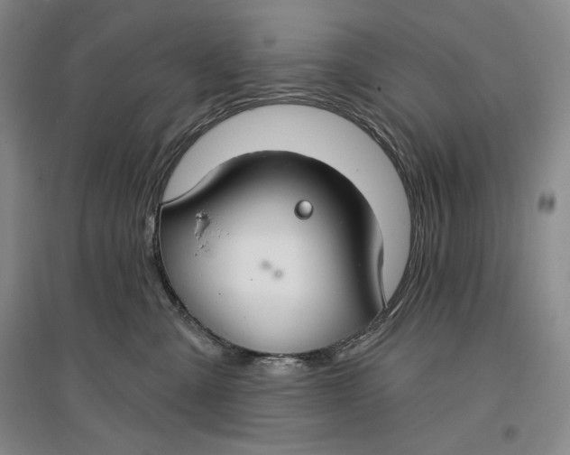 X0000096970427200802291126