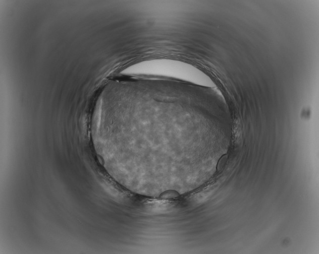 X0000096970428200802291126