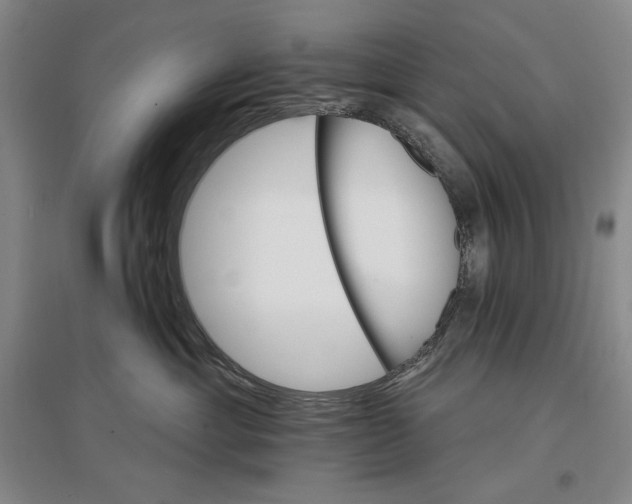 X0000096970429200802291126