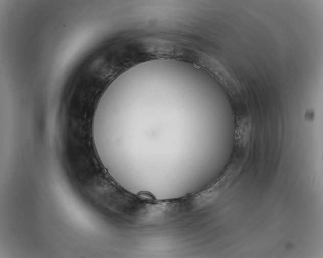 X0000096970430200802291126