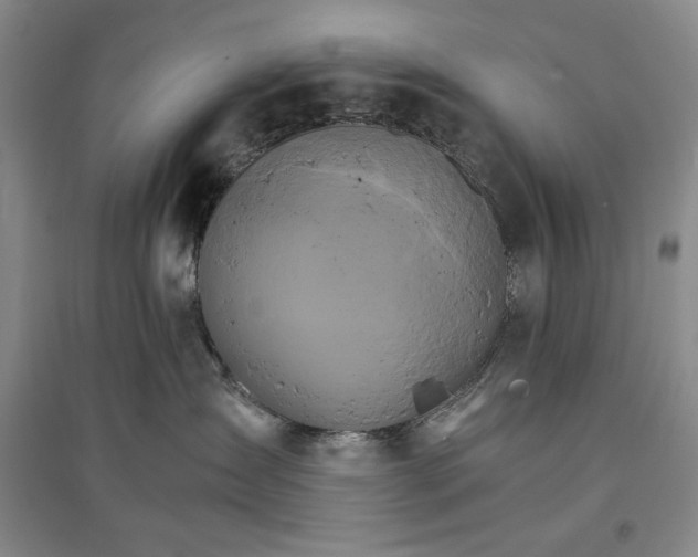 X0000096970431200802291126