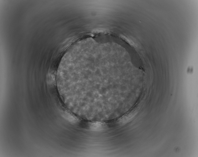 X0000096970432200802291126