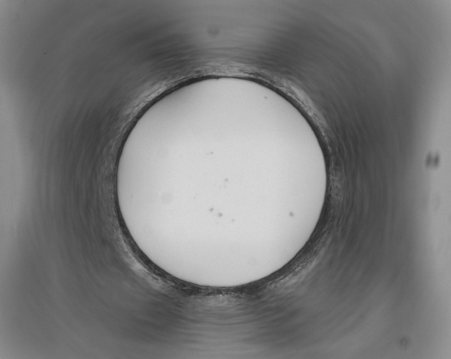 X0000096970433200802291125