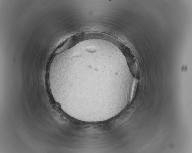 X0000096970434200802291125