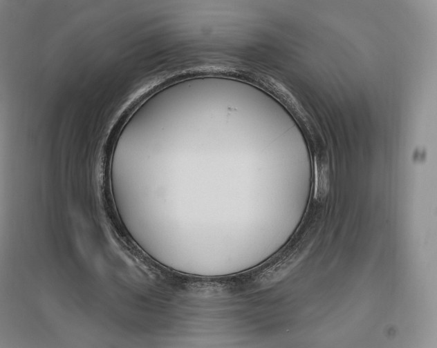 X0000096970435200802291125