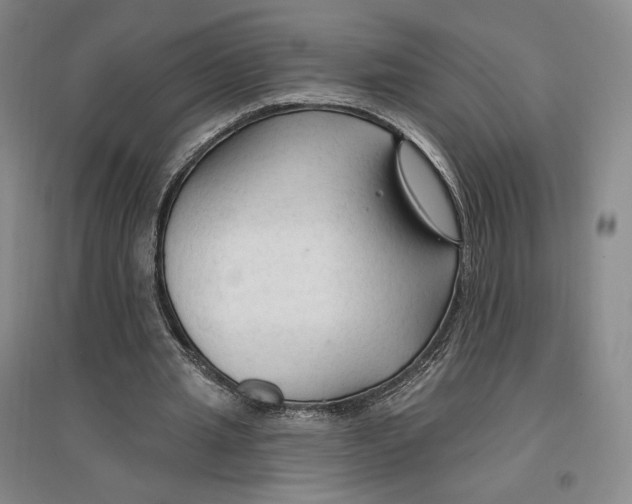 X0000096970437200802291125