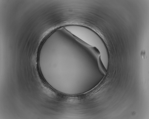 X0000096970438200802291125