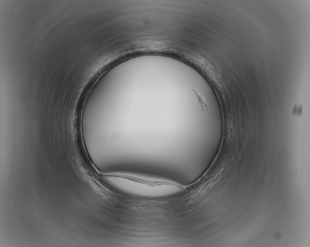 X0000096970439200802291125