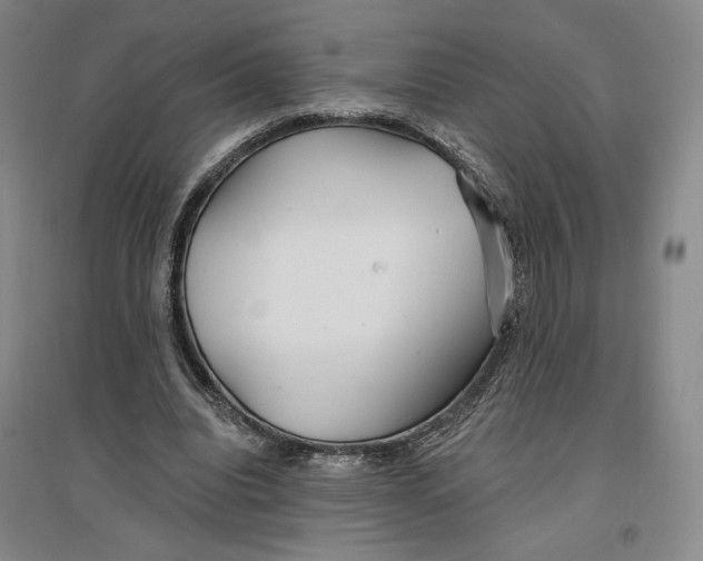 X0000096970440200802291125