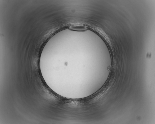 X0000096970441200802291125