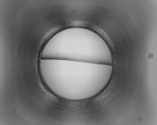 X0000096970442200802291125