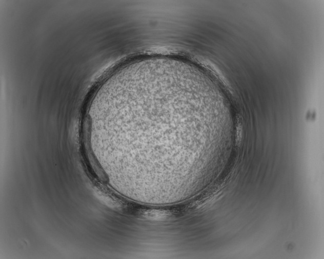 X0000096970444200802291125