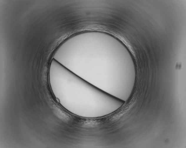 X0000096970445200802291125