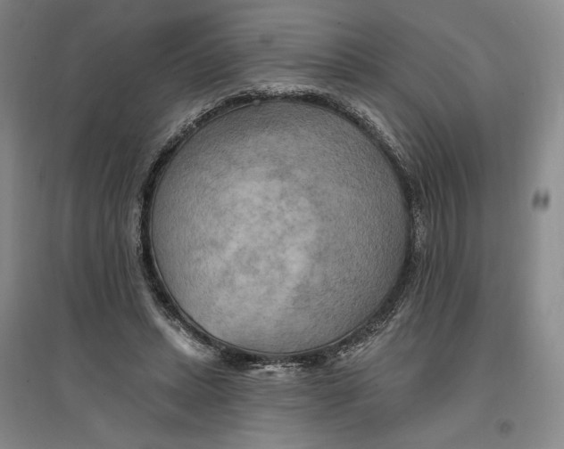 X0000096970447200802291125