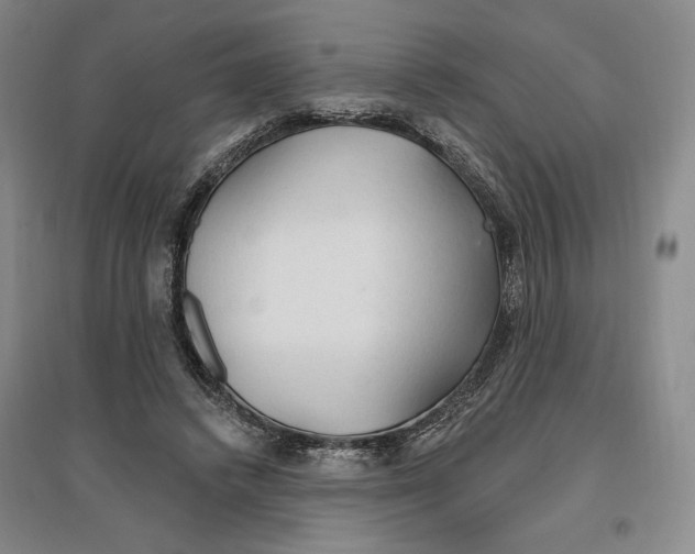 X0000096970448200802291125