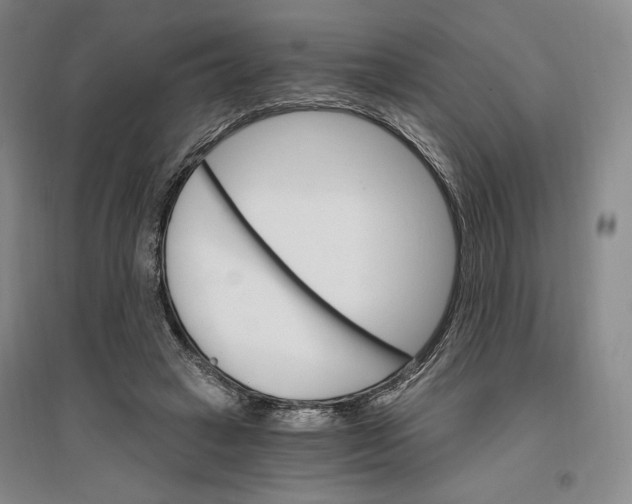 X0000096970449200802291125