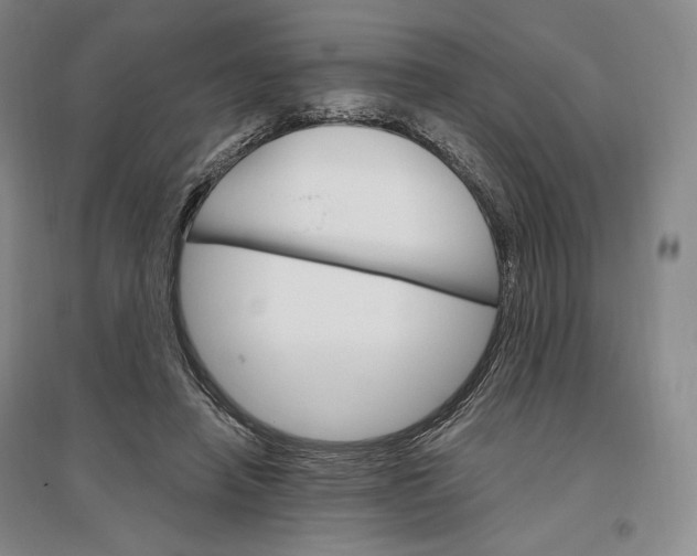 X0000096970450200802291125