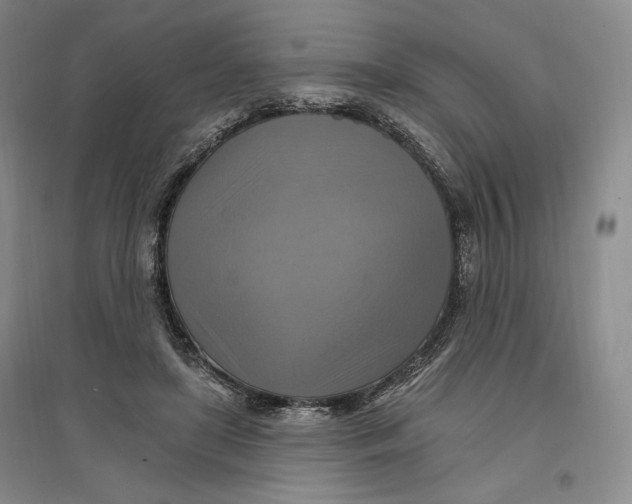 X0000096970451200802291125