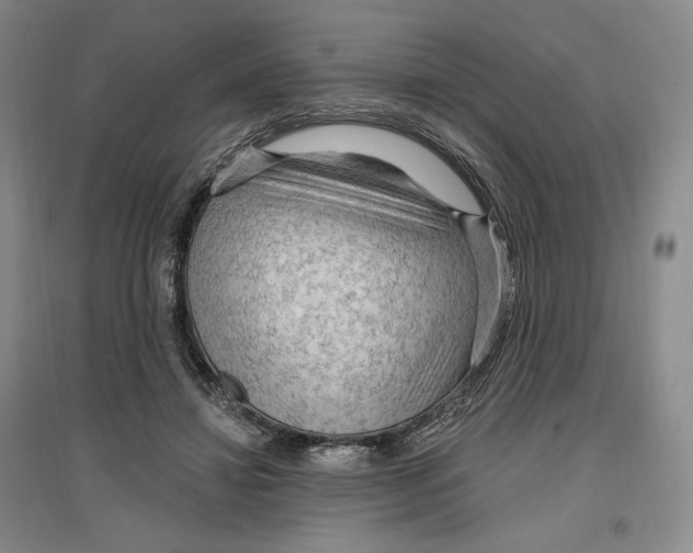 X0000096970452200802291125