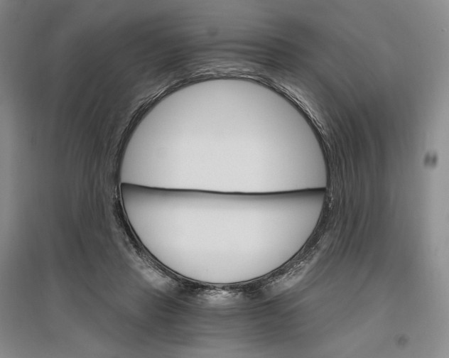 X0000096970453200802291125