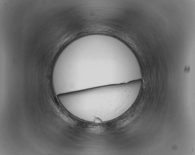 X0000096970454200802291125