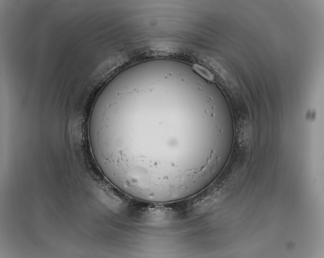 X0000096970455200802291125