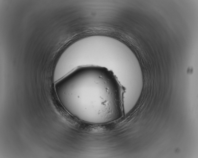 X0000096970456200802291125