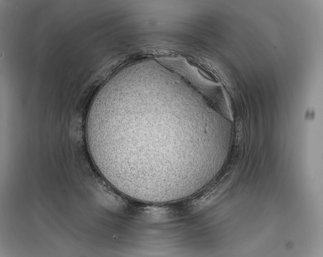 X0000096970457200802291125