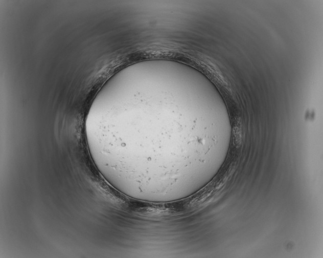 X0000096970458200802291125