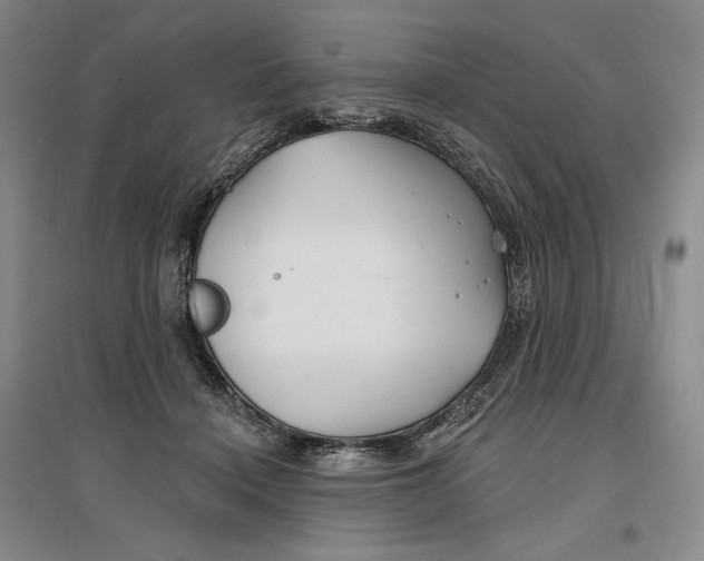 X0000096970460200802291125