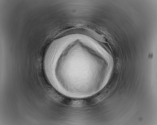 X0000096970461200802291125