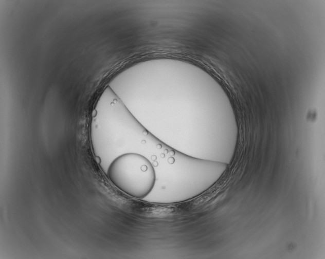 X0000096970462200802291125