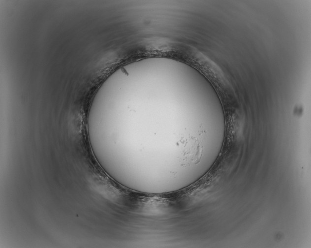 X0000096970463200802291125