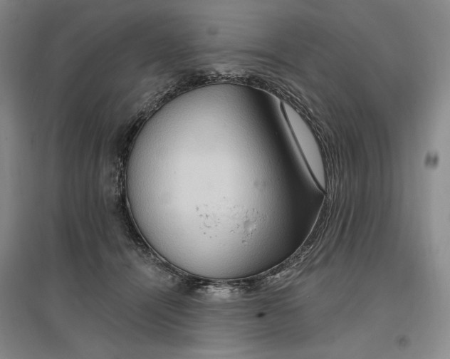 X0000096970464200802291125