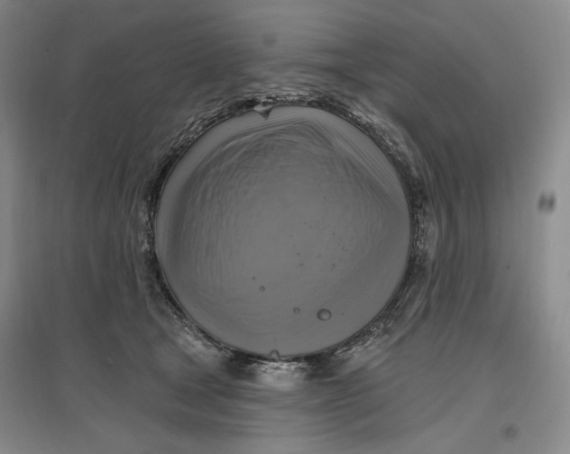 X0000096970465200802291125