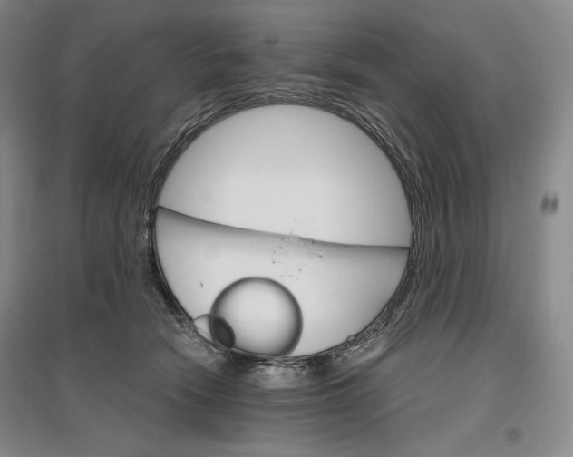 X0000096970466200802291125