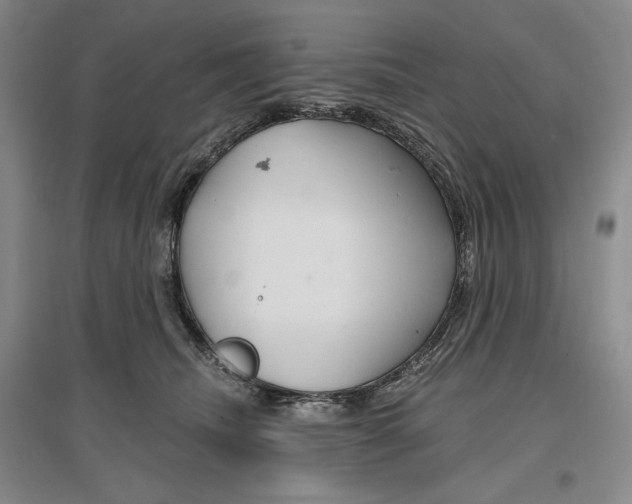 X0000096970468200802291125