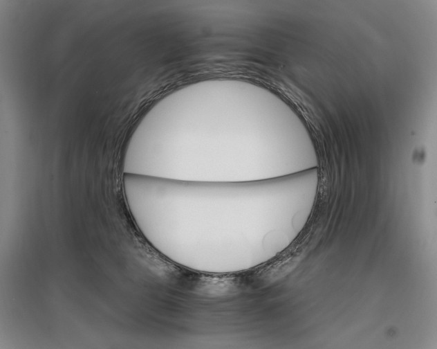 X0000096970469200802291125