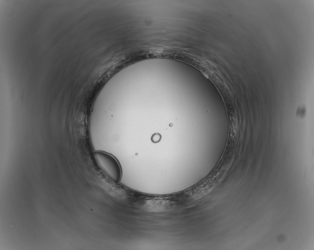 X0000096970470200802291125