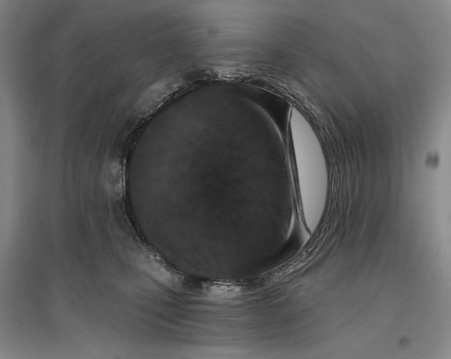 X0000096970471200802291126