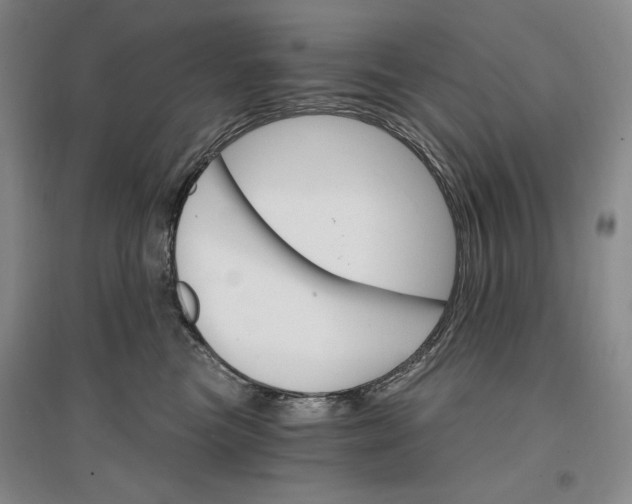 X0000096970473200802291126