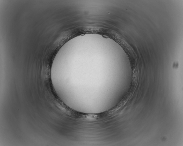 X0000096970474200802291126