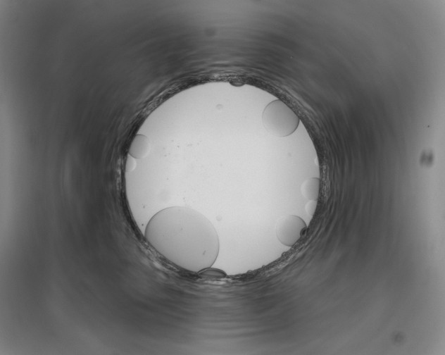 X0000096970475200802291126