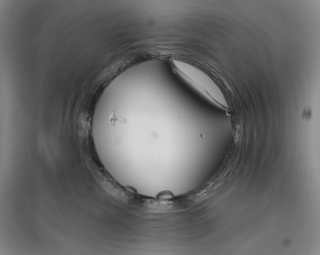 X0000096970476200802291126