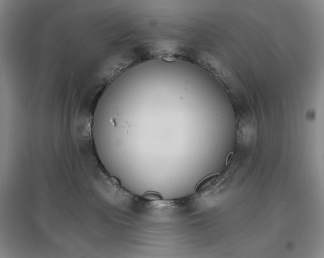 X0000096970477200802291126